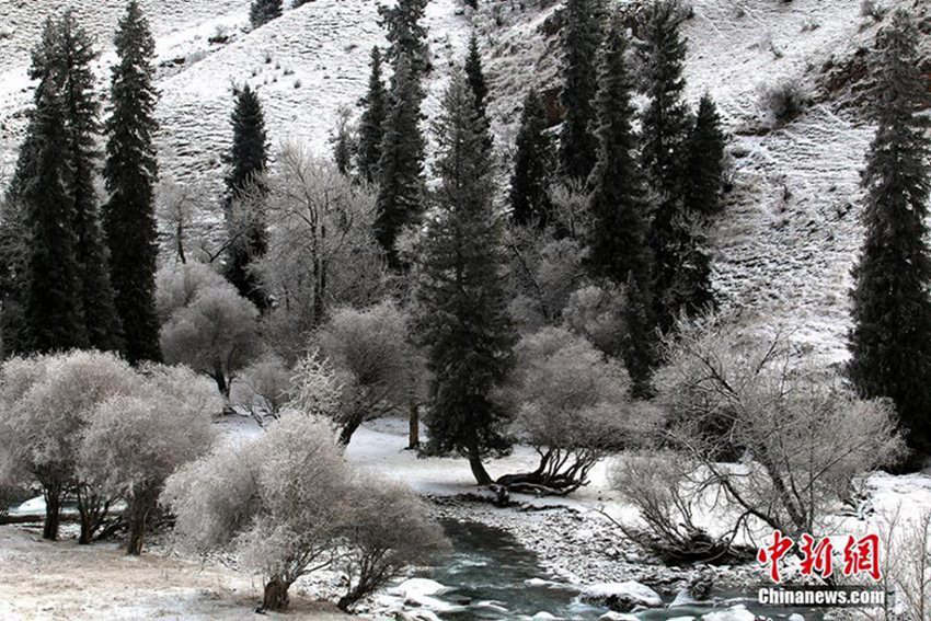 ?? ?????? ???? ??, ??? ? ??? ?????? ???