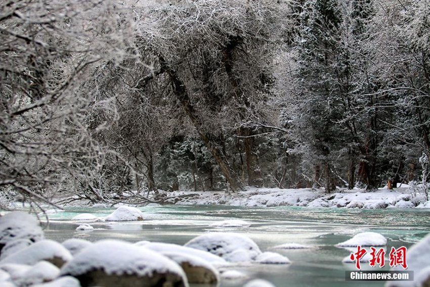 ?? ?????? ???? ??, ??? ? ??? ?????? ???