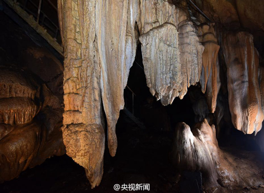 ??? ???! ?? ??? ?? 49? ?? ??? ??