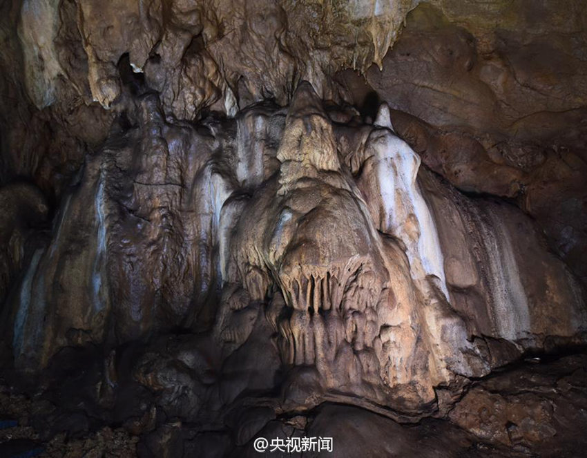 ??? ???! ?? ??? ?? 49? ?? ??? ??