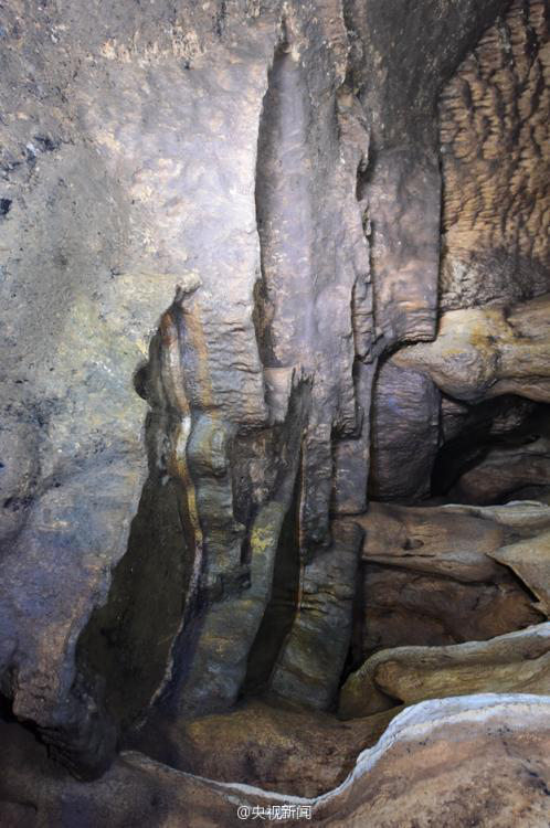 ??? ???! ?? ??? ?? 49? ?? ??? ??