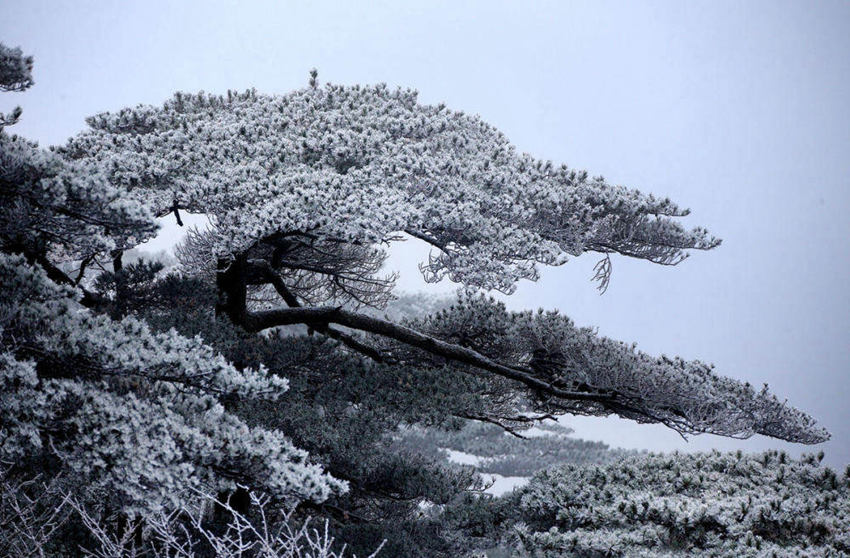 ??? ??: ??? ?? ??… ???? ??? ???