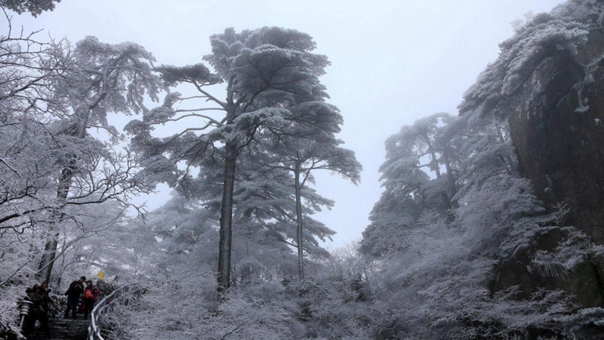 ??? ??: ??? ?? ??… ???? ??? ???