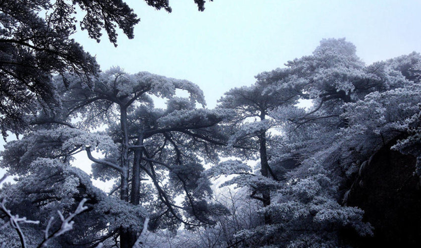 ??? ??: ??? ?? ??… ???? ??? ???