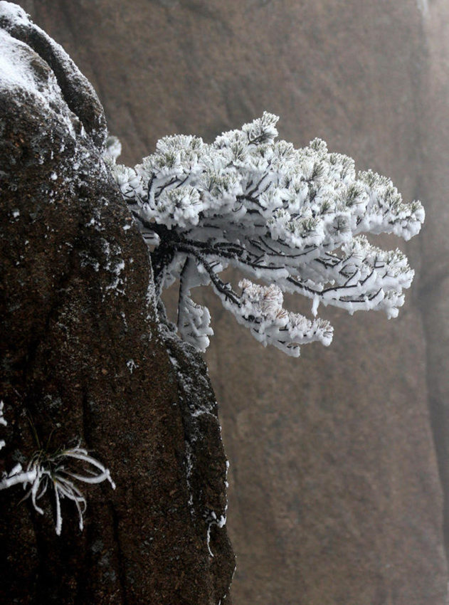 ??? ??: ??? ?? ??… ???? ??? ???