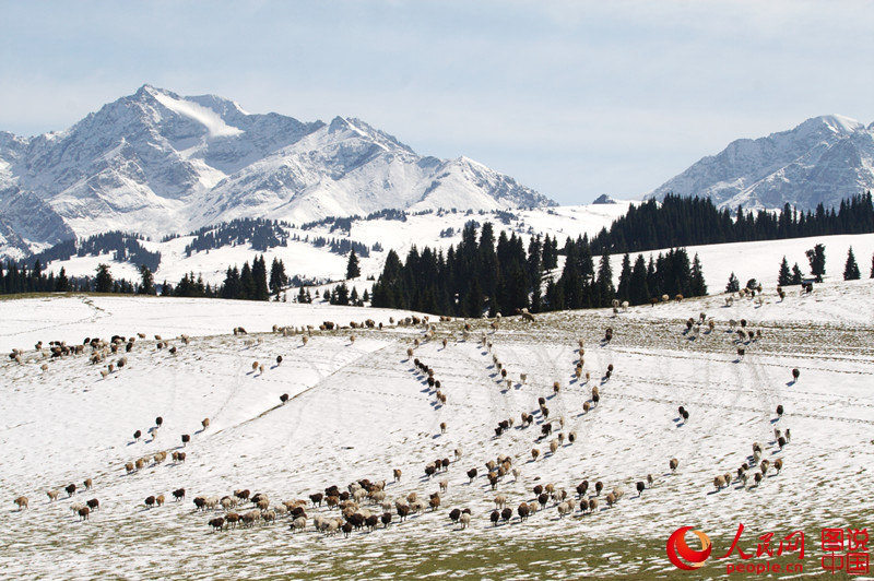 ?? ??? ??, ? ??? ????