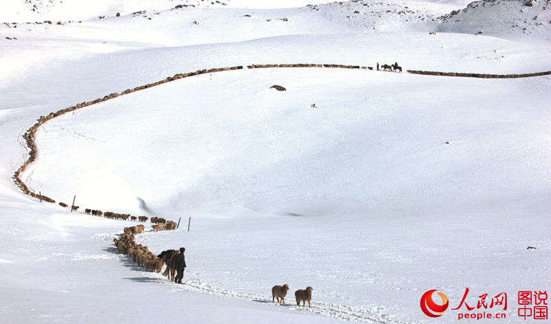 ?? ??? ??, ? ??? ????