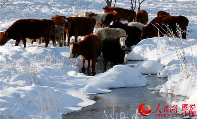 ?? ??? ??, ? ??? ????