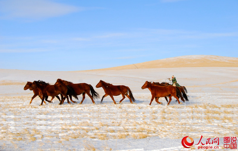 ?? ??? ??, ? ??? ????