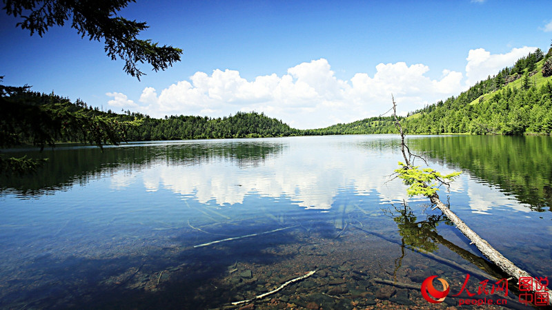 ??? ??: ???? ???? ?? ?? ‘???’