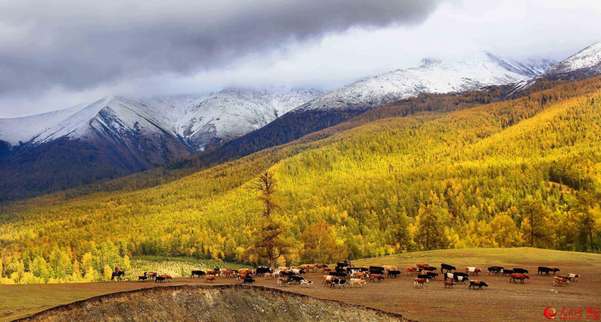 ??? ???? ??? ????… ??? ?? ??? ??? ?? ? ? ??