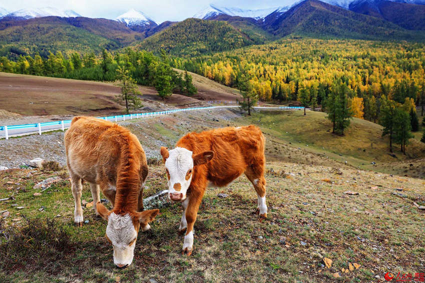 ??? ???? ??? ????… ??? ?? ??? ??? ?? ? ? ??