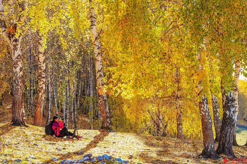 ??? ???? ??? ????… ??? ?? ??? ??? ?? ? ? ??