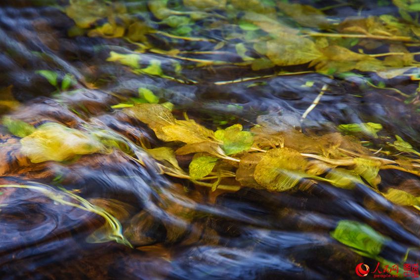 ??? ?? ?? ?? ‘??’, ?? ?? ??? ??