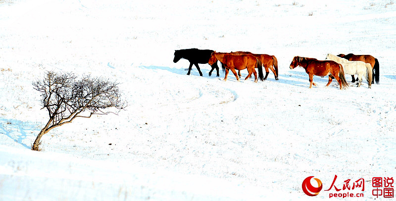 ? ?? ?? ??, ?? ??? ??? ??