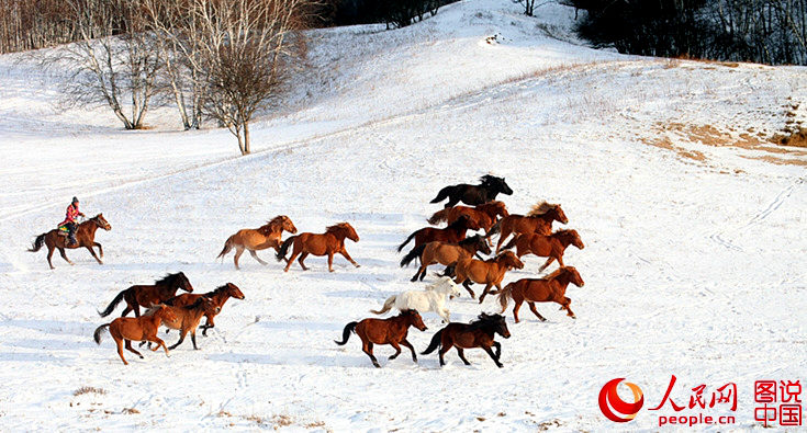 ? ?? ?? ??, ?? ??? ??? ??