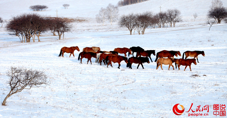 ? ?? ?? ??, ?? ??? ??? ??