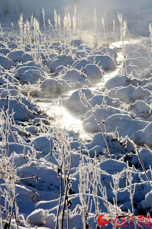 ? ?? ?? ??, ?? ??? ??? ??