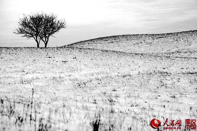 ? ?? ?? ??, ?? ??? ??? ??