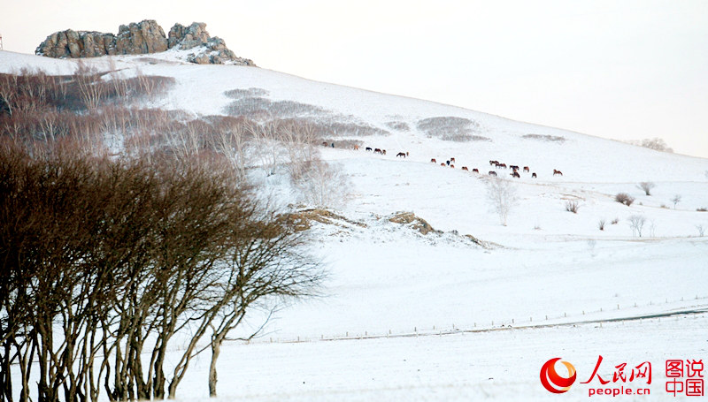 ? ?? ?? ??, ?? ??? ??? ??