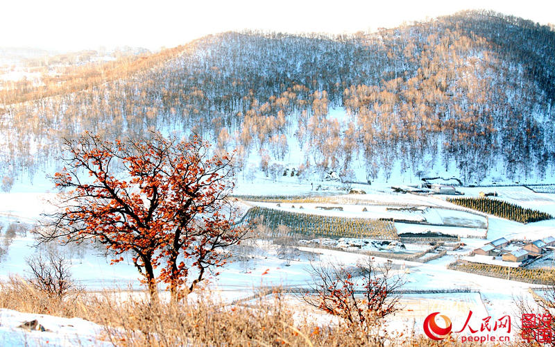 ? ?? ?? ??, ?? ??? ??? ??