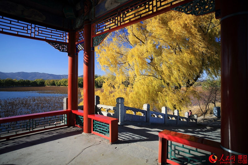 ??? ?? ??: ??? ???? ???? ??