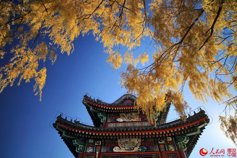 ??? ?? ??: ??? ???? ???? ??