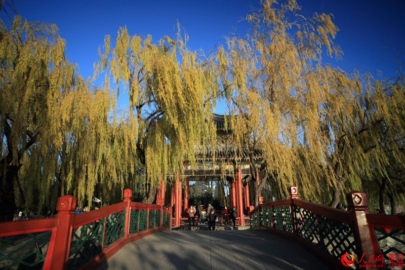 ??? ?? ??: ??? ???? ???? ??