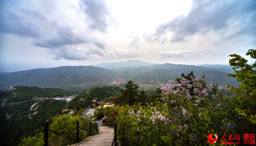 中 ?? ??, ????? ‘????’? ??? ???