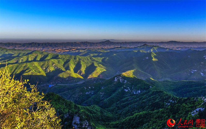 中 ?? ??, ????? ‘????’? ??? ???