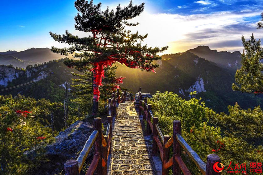 中 ?? ??, ????? ‘????’? ??? ???