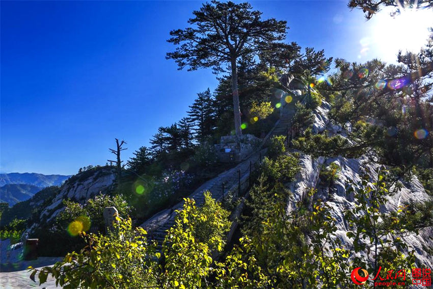 中 ?? ??, ????? ‘????’? ??? ???