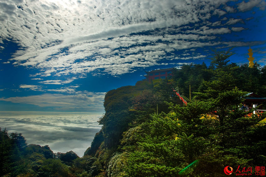 ?? ?????? ??, ??? ??? ???? ?? ??