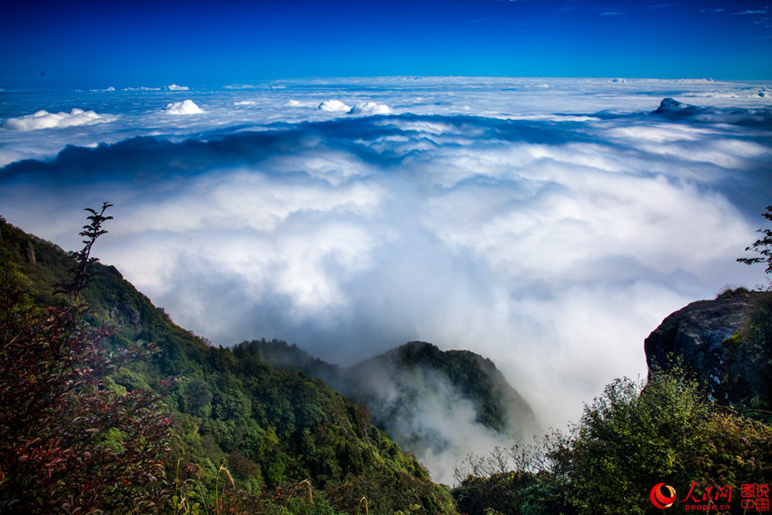 ?? ?????? ??, ??? ??? ???? ?? ??