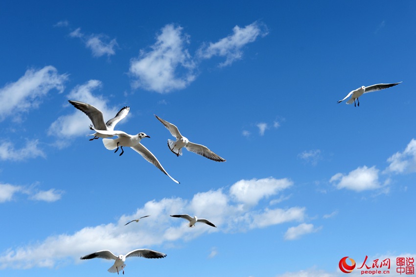 ? ?? ?? ??? ?? ??? ?? ‘???’