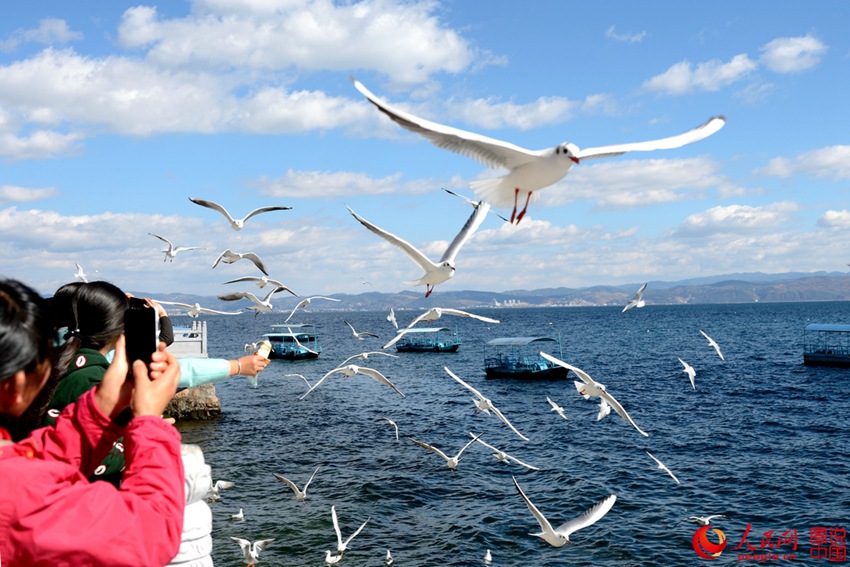 ? ?? ?? ??? ?? ??? ?? ‘???’