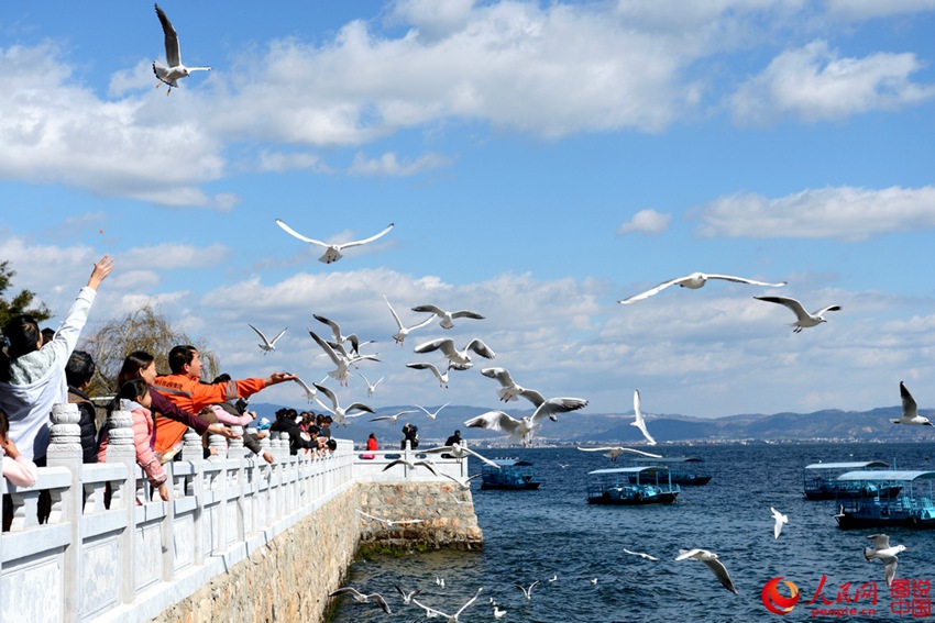 ? ?? ?? ??? ?? ??? ?? ‘???’