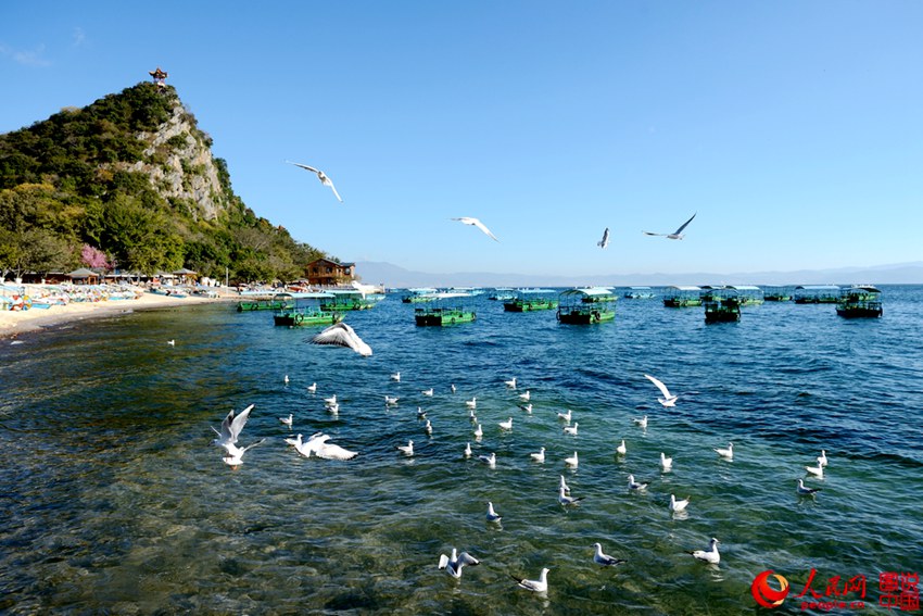 ? ?? ?? ??? ?? ??? ?? ‘???’