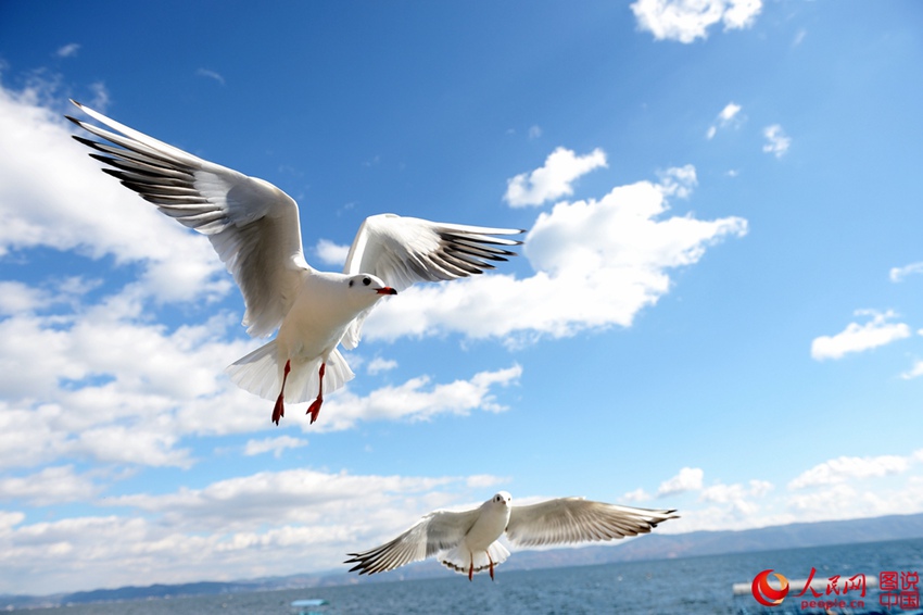 ? ?? ?? ??? ?? ??? ?? ‘???’