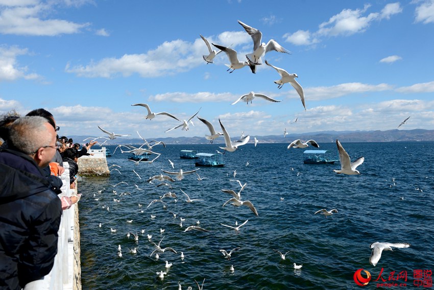 ? ?? ?? ??? ?? ??? ?? ‘???’