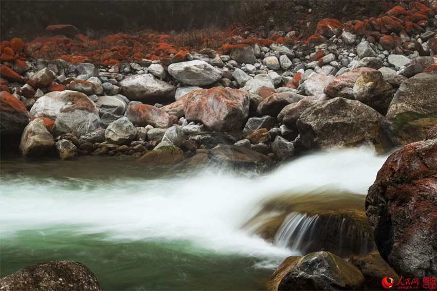 ?? ??? ‘???’, ??? ???? ???? ??