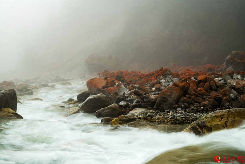 ?? ??? ‘???’, ??? ???? ???? ??