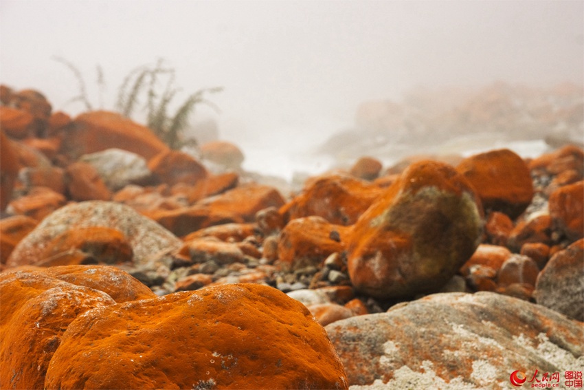 ?? ??? ‘???’, ??? ???? ???? ??