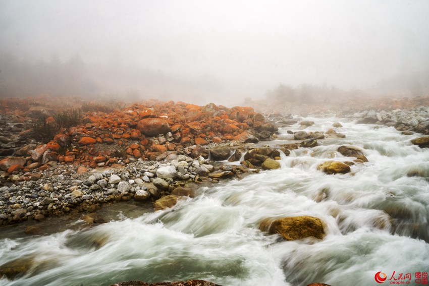 ?? ??? ‘???’, ??? ???? ???? ??