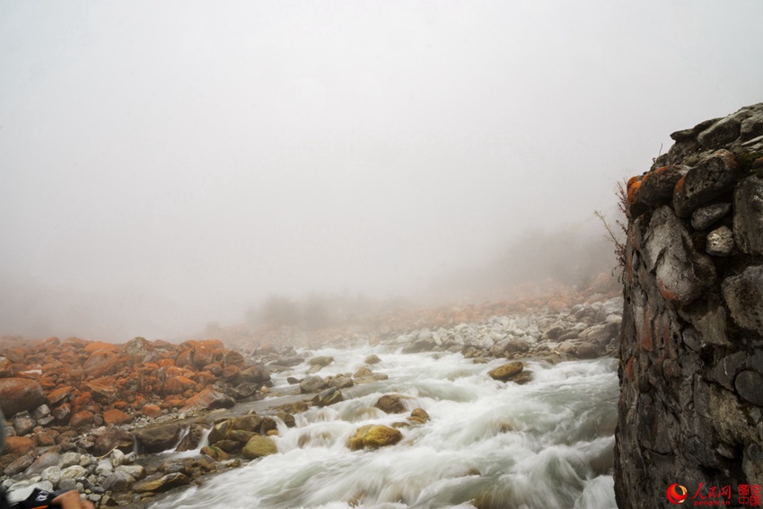 ?? ??? ‘???’, ??? ???? ???? ??