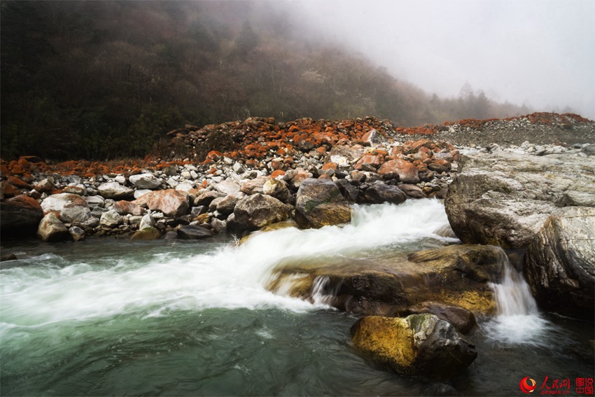 ?? ??? ‘???’, ??? ???? ???? ??