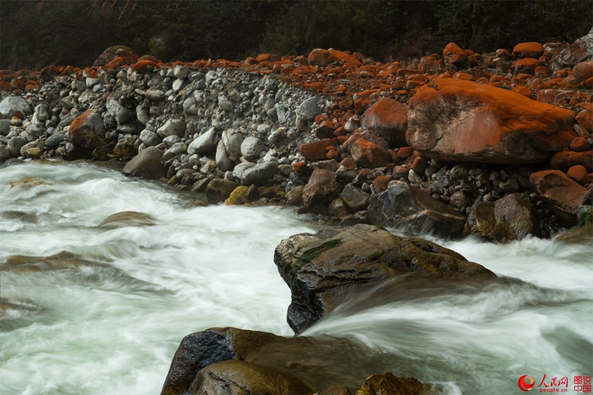 ?? ??? ‘???’, ??? ???? ???? ??