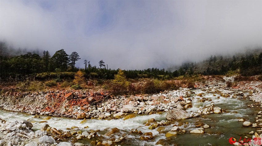 ?? ??? ‘???’, ??? ???? ???? ??