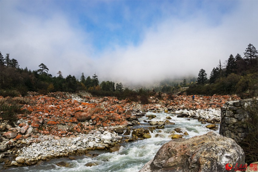 ?? ??? ‘???’, ??? ???? ???? ??