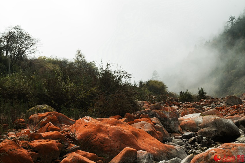 ?? ??? ‘???’, ??? ???? ???? ??